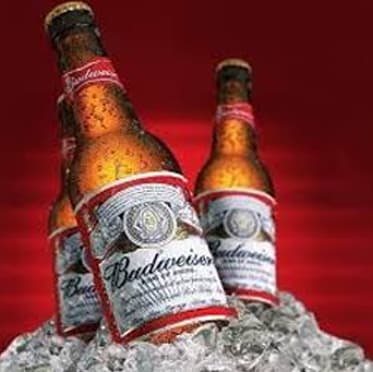 Cerveja Budweiser Long Neck